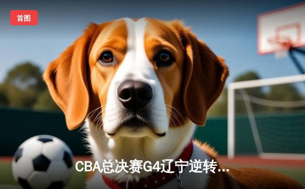 CBA总决赛G4辽宁逆转新疆夺赛点 弗格34分赵继伟关键三分定乾坤